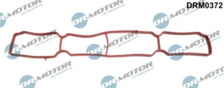 LIZARTE DRM0372