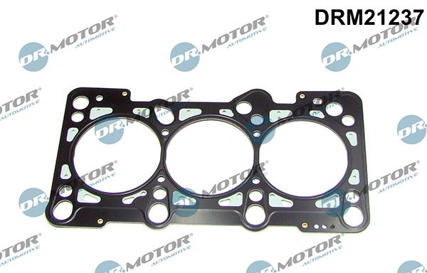 LIZARTE DRM21237