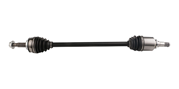 LIZARTE DS0915