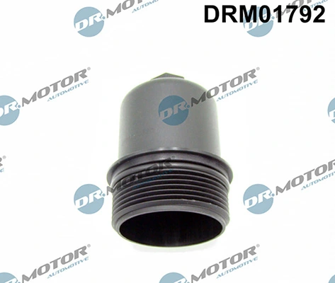 LIZARTE DRM01792