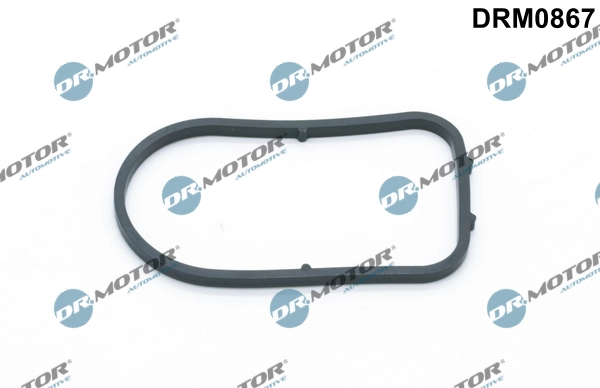 LIZARTE DRM0867
