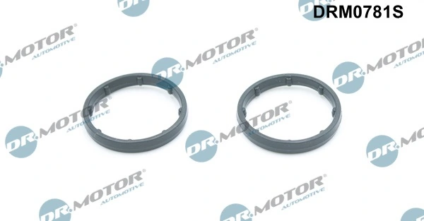 LIZARTE DRM0781S