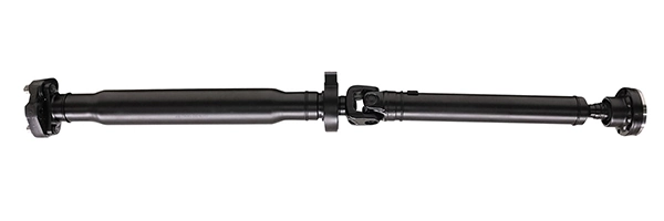 LIZARTE PS0017