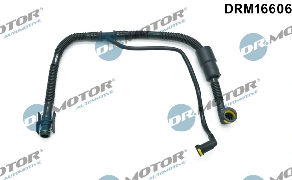 LIZARTE DRM16606