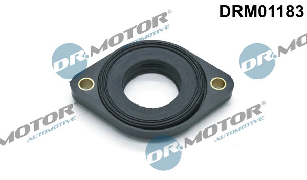 LIZARTE DRM01183