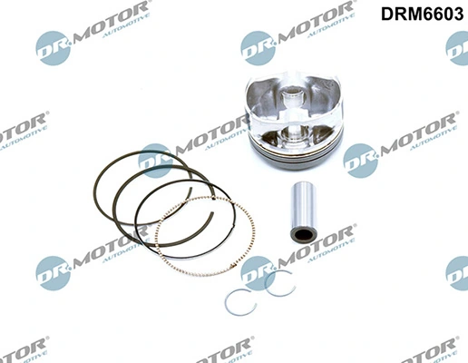 LIZARTE DRM6603