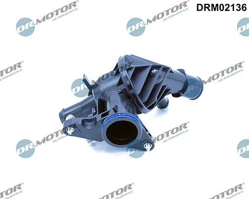 LIZARTE DRM02136