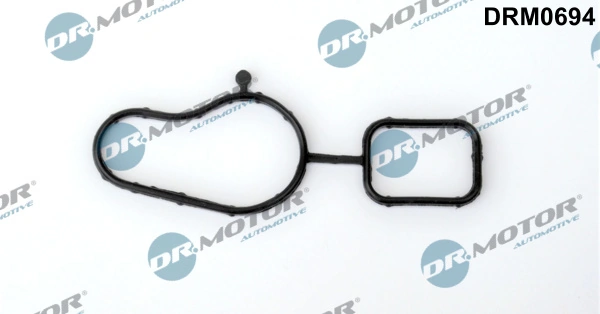 LIZARTE DRM0694