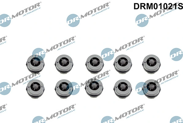 LIZARTE DRM01021S