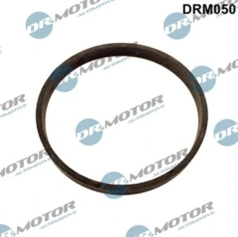 LIZARTE DRM050