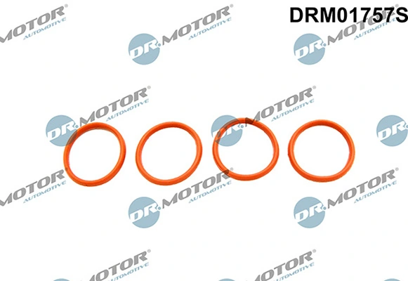 LIZARTE DRM01757S