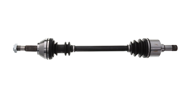 LIZARTE DS0277