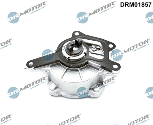 LIZARTE DRM01857