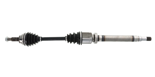 LIZARTE DS0349