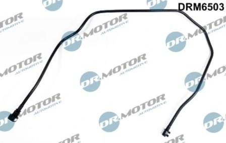 LIZARTE DRM6503