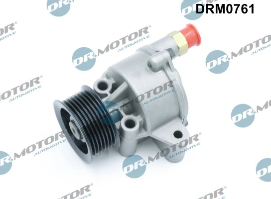 LIZARTE DRM0761