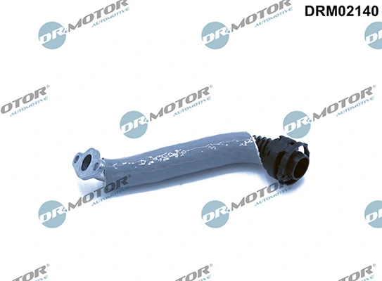 LIZARTE DRM02140