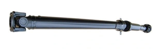 LIZARTE PS0045