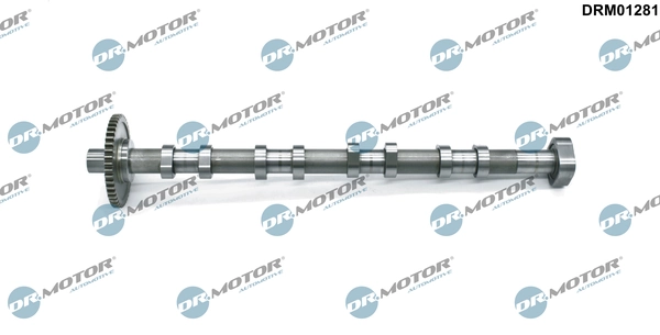 LIZARTE DRM01281