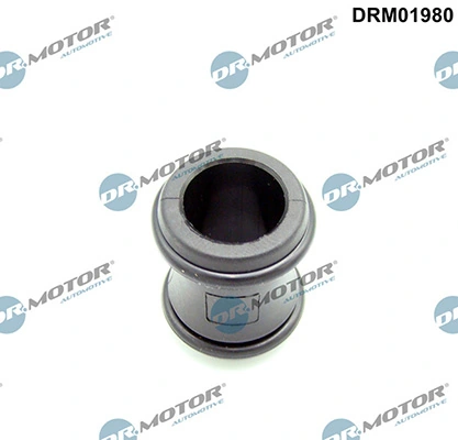 LIZARTE DRM01980