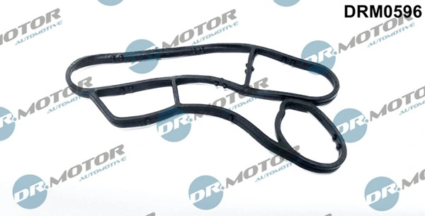 LIZARTE DRM0596