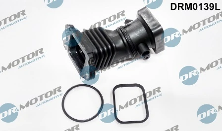 LIZARTE DRM0139L
