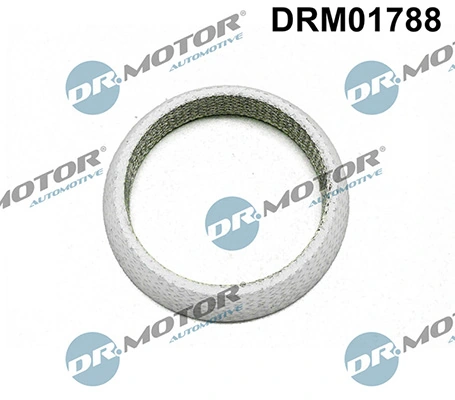LIZARTE DRM01788