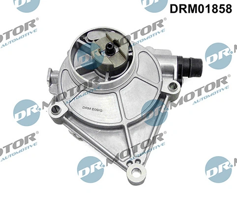 LIZARTE DRM01858