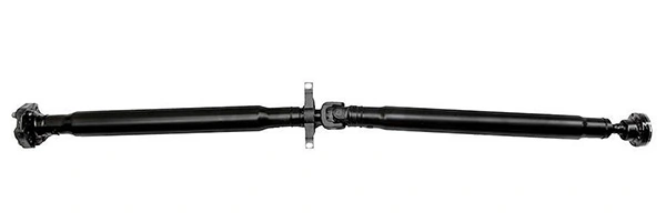 LIZARTE PS0021