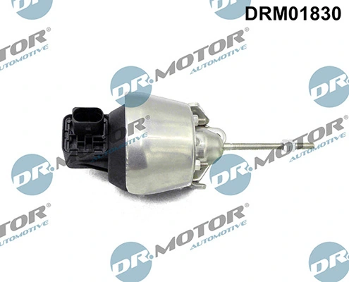 LIZARTE DRM01830