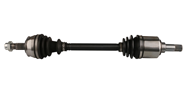 LIZARTE DS0314