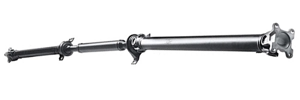 LIZARTE PS0066