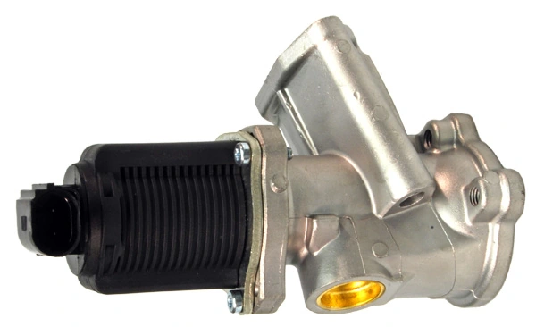 LIZARTE EGR010