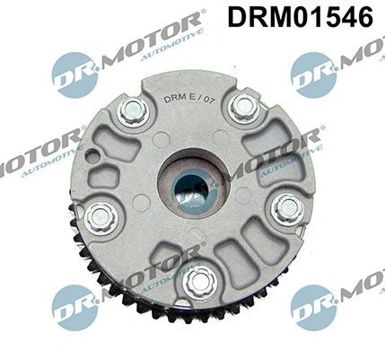LIZARTE DRM01546