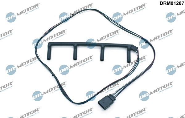 LIZARTE DRM01287