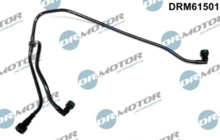 LIZARTE DRM61501