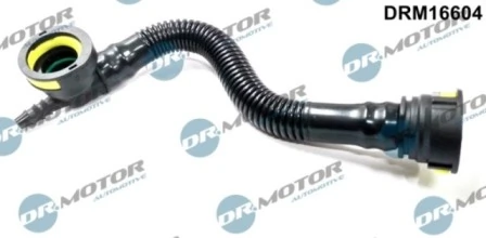 LIZARTE DRM16604