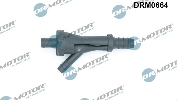 LIZARTE DRM0664