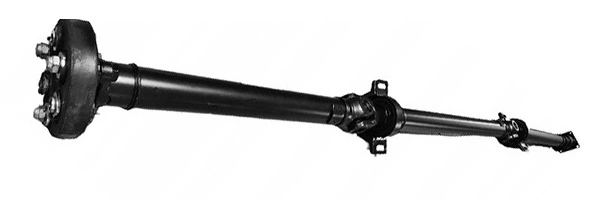 LIZARTE PS0010