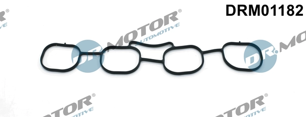 LIZARTE DRM01182