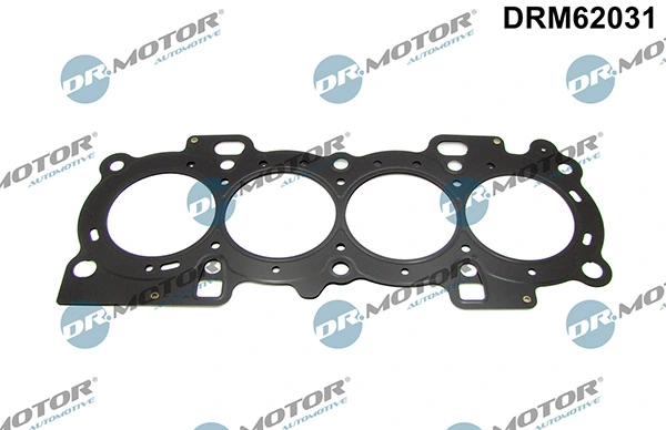 LIZARTE DRM62031