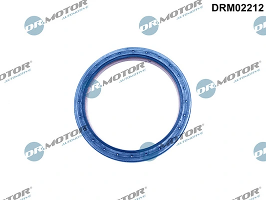 LIZARTE DRM02212