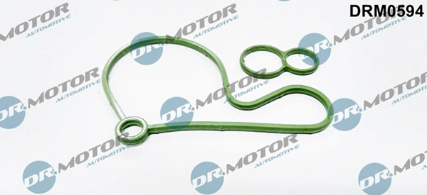 LIZARTE DRM0594