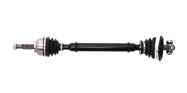 LIZARTE DS1068