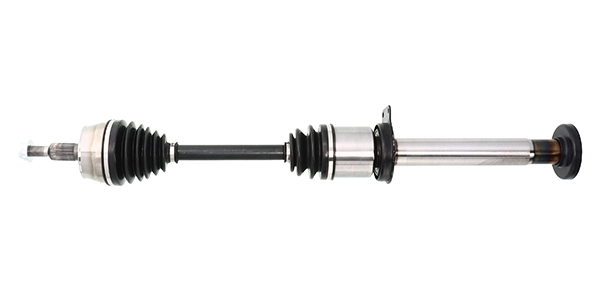 LIZARTE DS0961