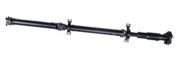 LIZARTE PS0030
