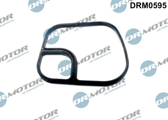 LIZARTE DRM0595
