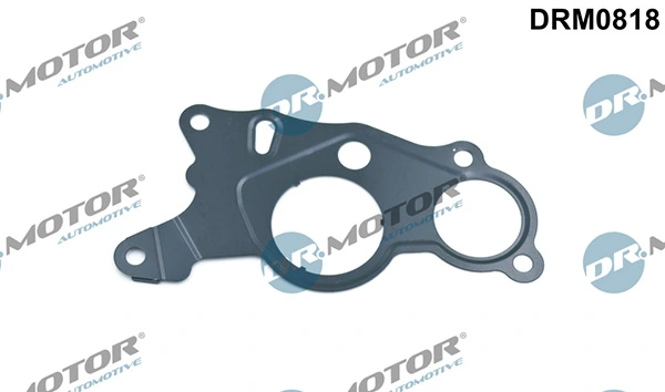 LIZARTE DRM0818
