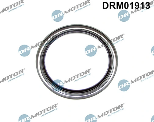 LIZARTE DRM01913