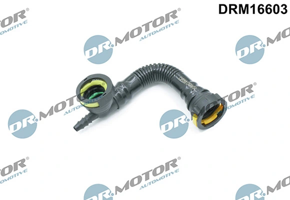 LIZARTE DRM16603